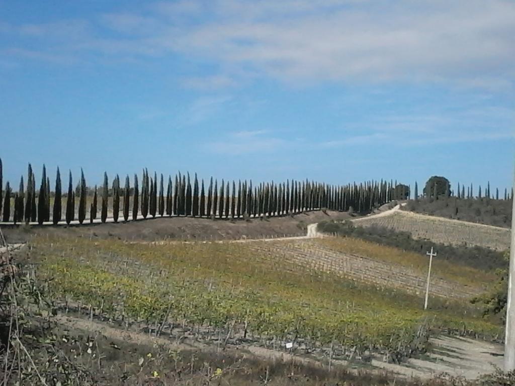 Cisterna Nel Borgo Hotel Castiglione d'Orcia Luaran gambar